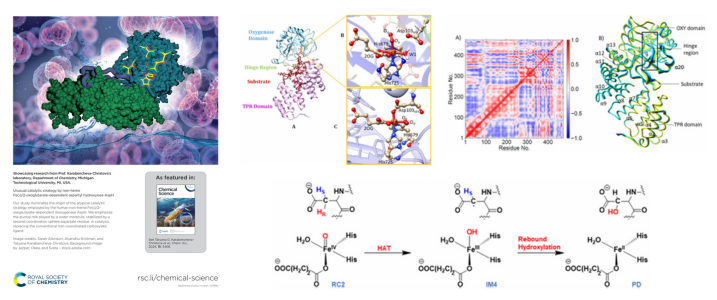 Cover page and images of Karabencheva-Christova's New Study