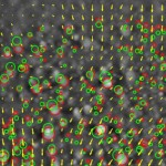 Droplet Velocity Field